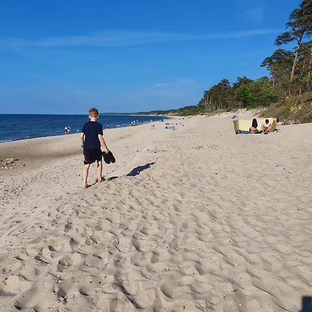 Luksusowe Bursztynowy ,,lesny Poranek