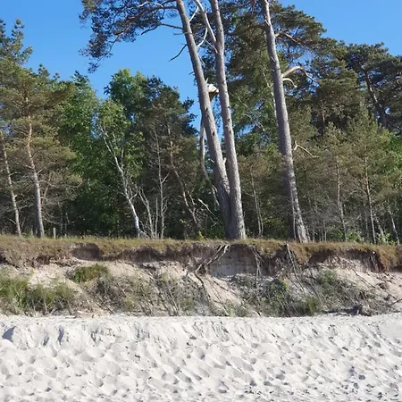 Daire Luksusowe Bursztynowy ,,lesny Poranek