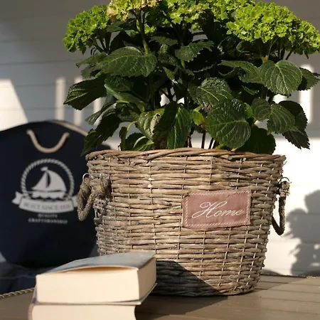 Luksusowe Bursztynowy ,,lesny Poranek