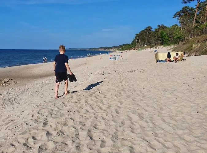 Luksusowe Bursztynowy ,,lesny Poranek