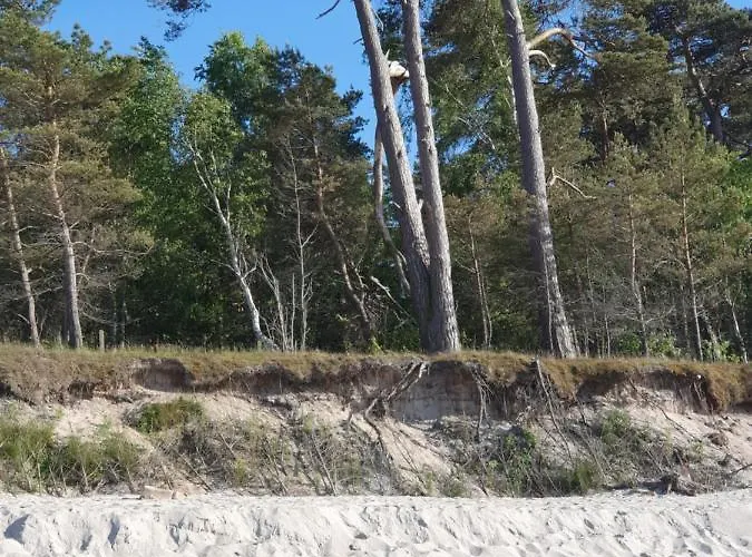 Apartman Luksusowe Bursztynowy ,,lesny Poranek