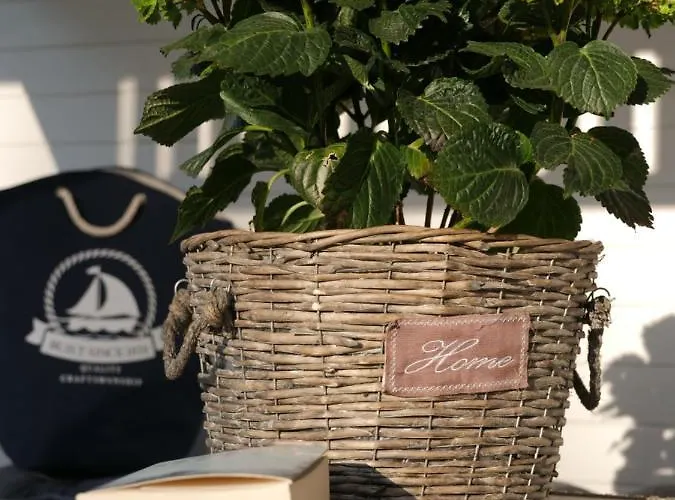 Luksusowe Bursztynowy ,,lesny Poranek